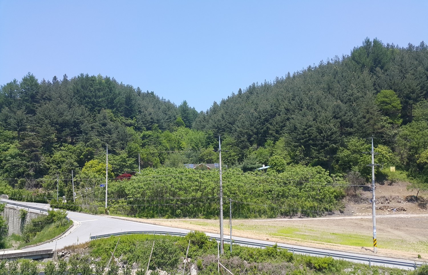 2021년 충북 제천시 백운면 화당리의 모습. 민둥산이었던 산은 세월이 흘러 울창한 숲이 되었다. ⓒ유한킴벌리