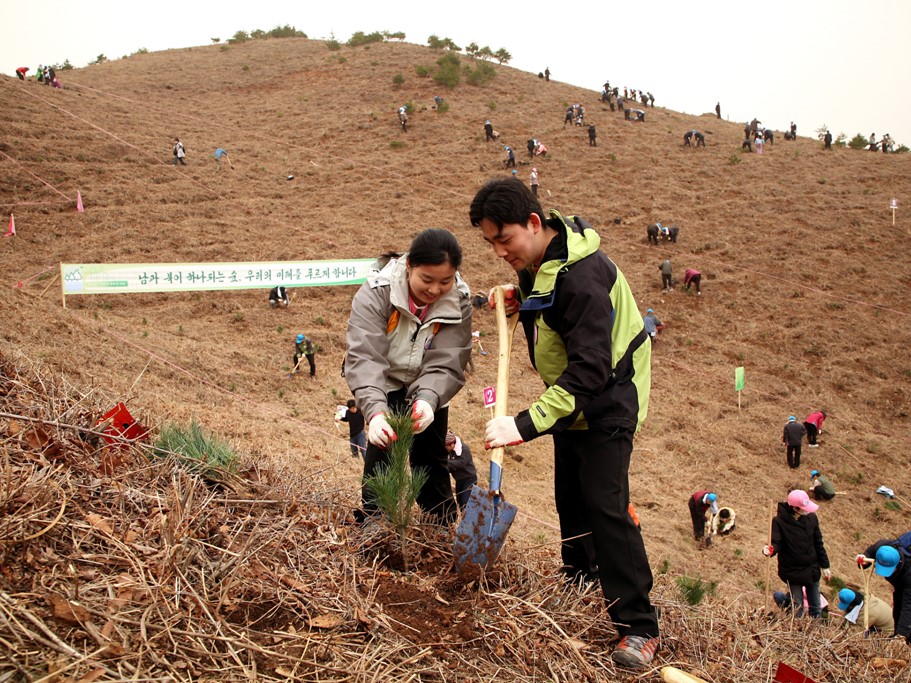 금강산에서 나무를 심고 있는 ‘신혼부부 나무심기’ 참가자. 유한킴벌리는 2009년까지 북한에 1285만9150 그루를 심었다. ⓒ유한킴벌리