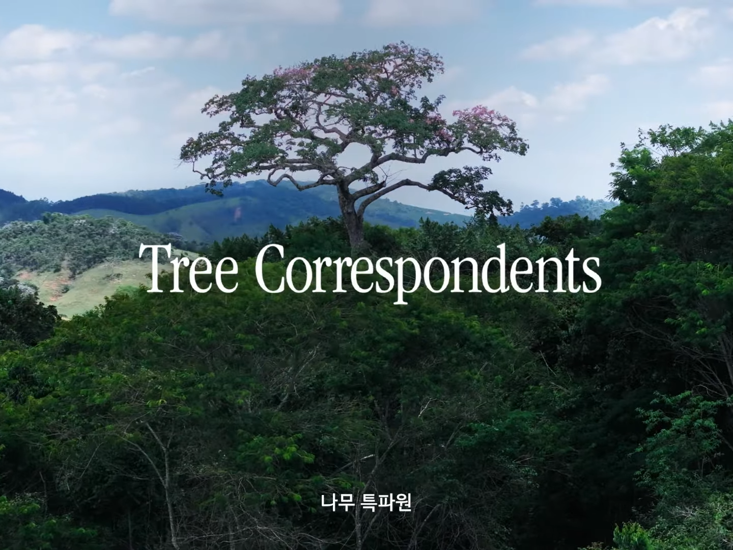 현대차가 2025년 CSR과 브랜딩을 겸한 ‘나무특파원’ 캠페인을 내놓았다. AI 기술을 활용해 나무가 직접 기사를 쓰는 방식으로 숲의 중요성과 기후 변화의 심각성을 알리는 내용을 담았다. ⓒ현대차 유튜브