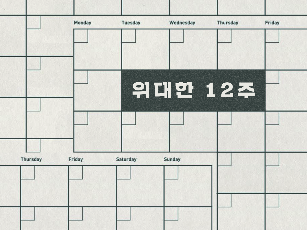 위대한 12주